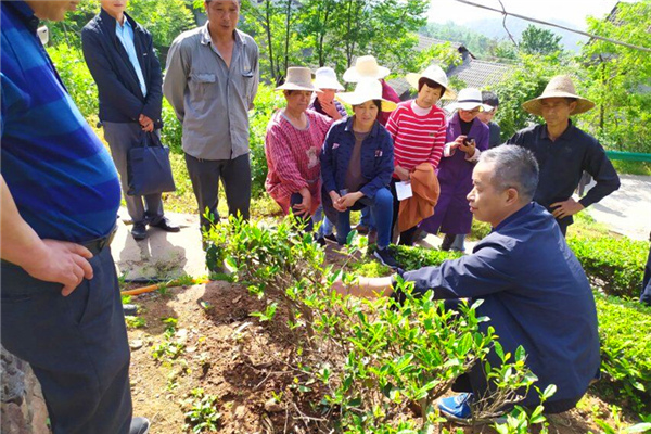 五峰：农业系统众志成城，长岭农民积极响应