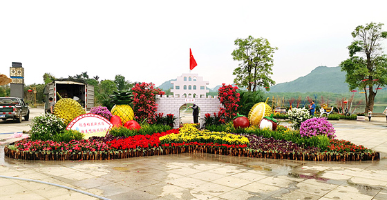 凭祥市荣获崇左市首届“魅力崇左•花开壮乡”花卉展一等奖