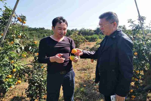 掌握生产动态，及时为民解惑