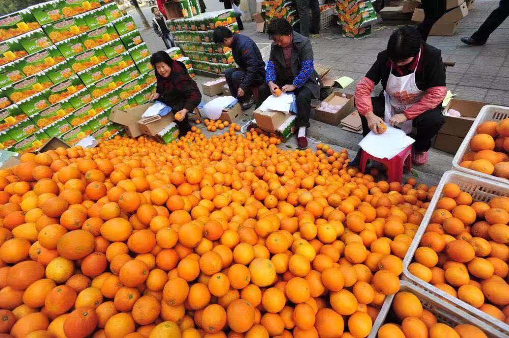 新华·宜昌秭归脐橙电商价格指数在京发布