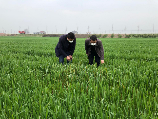 战役情、保春耕