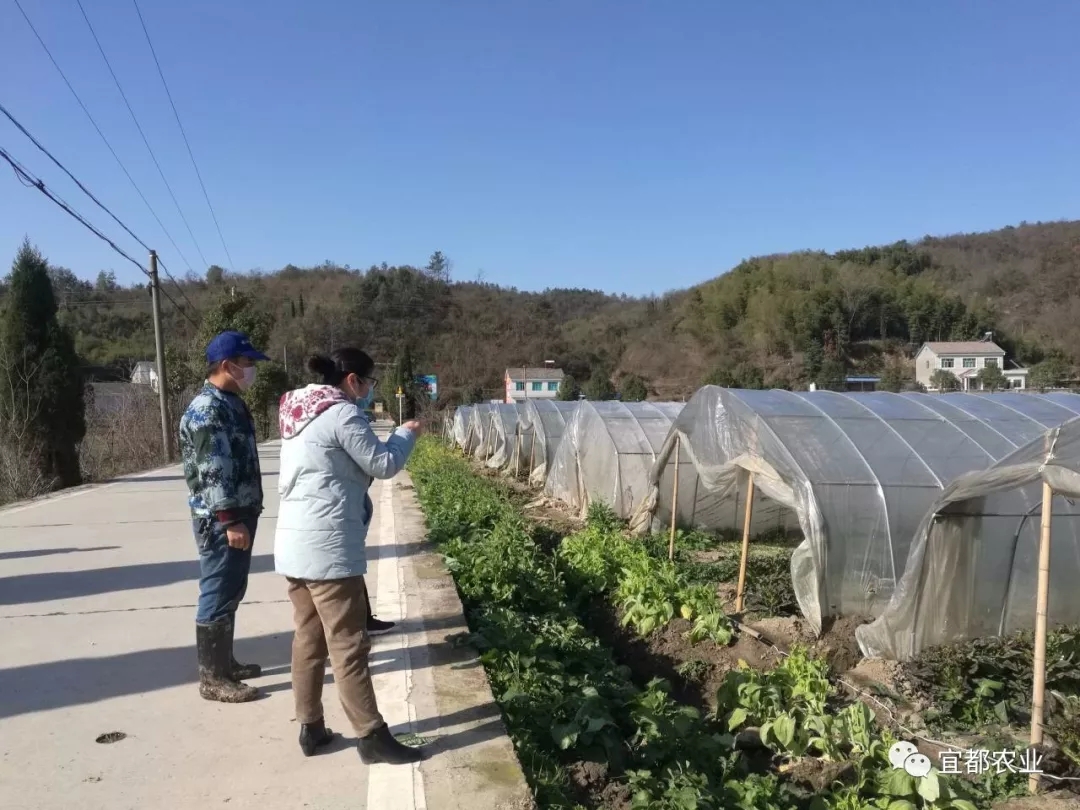 市农业农村局专班调研指导春季农业生产