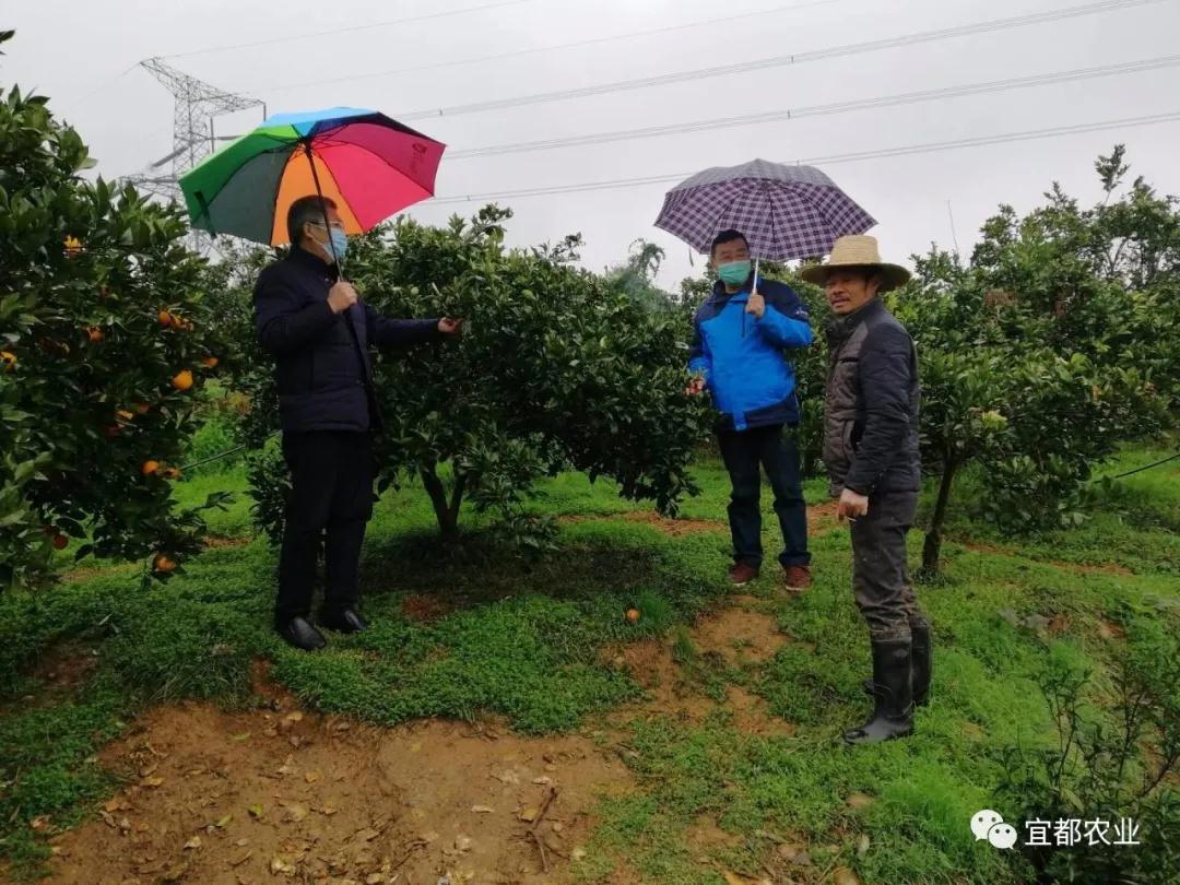 风雨中坚守