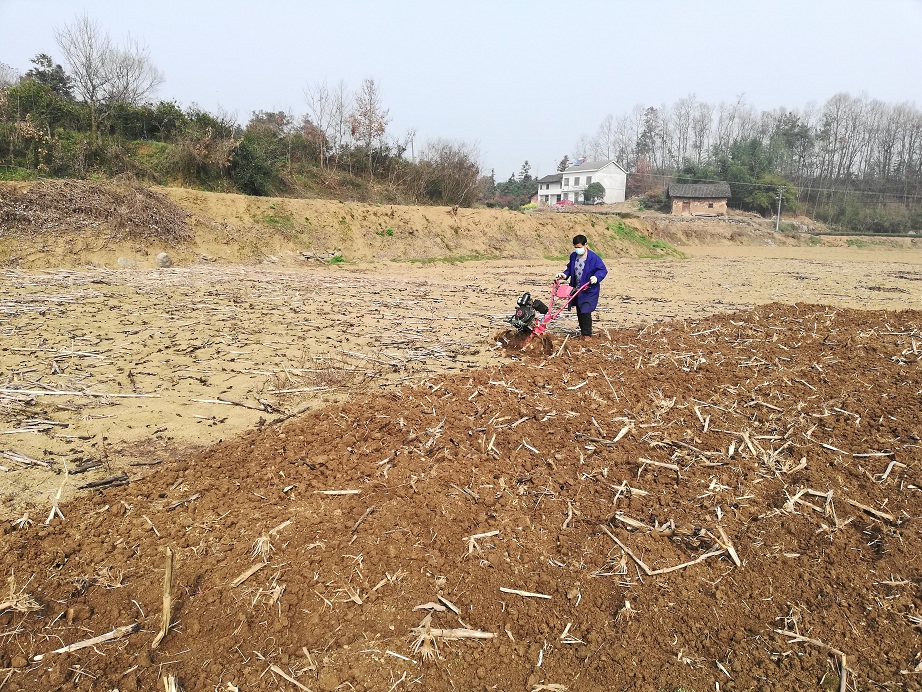 “赶着铁牛”忙春耕