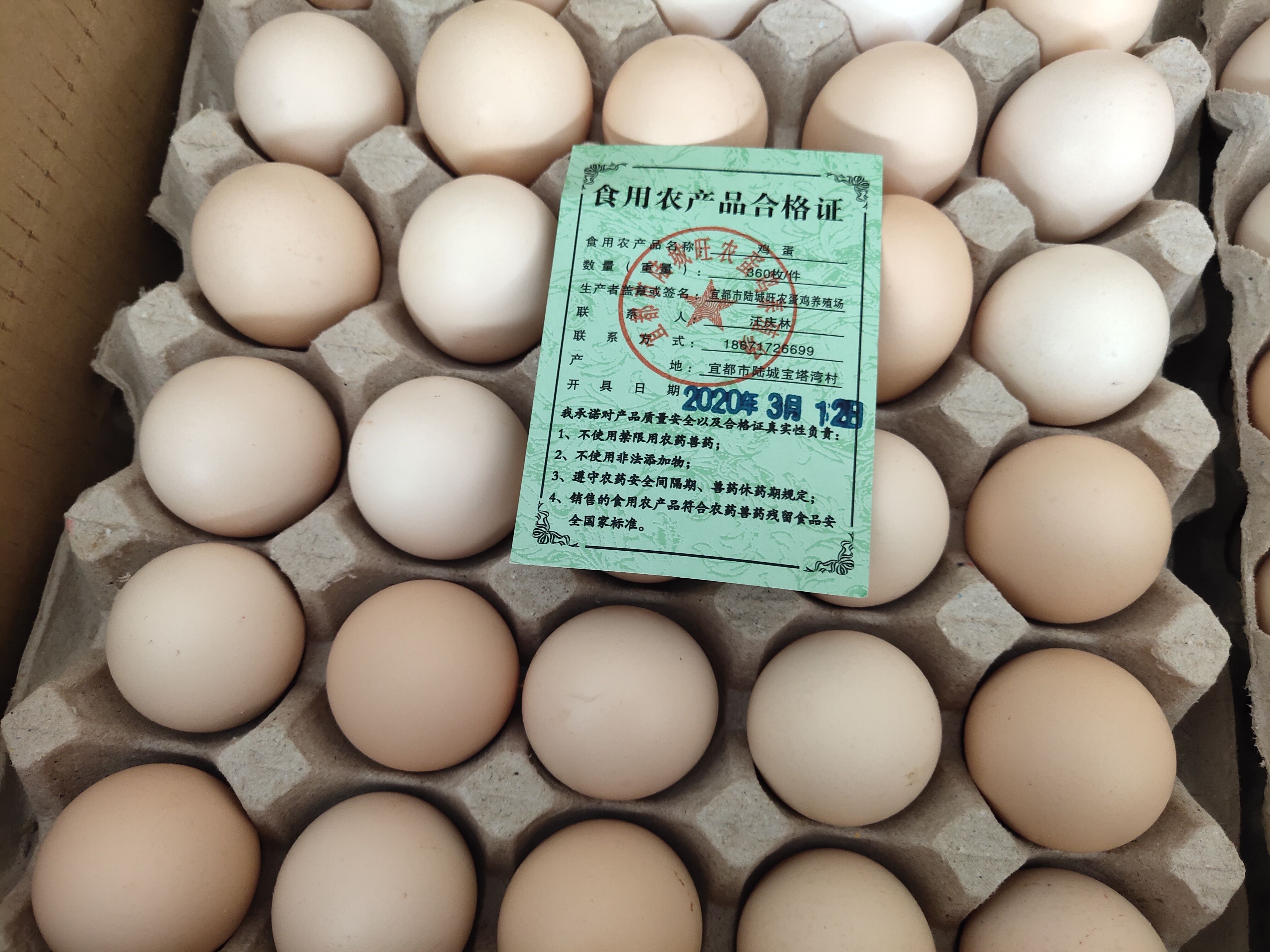 鸡蛋带上“身份证” 宜都为食用农产品开出首张合格证