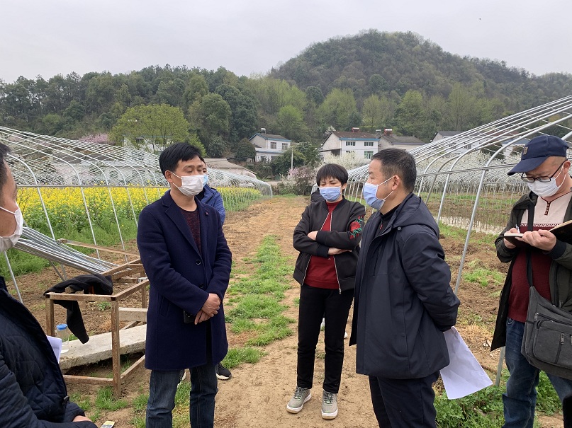 宜都市高标准农田建设项目有序复工