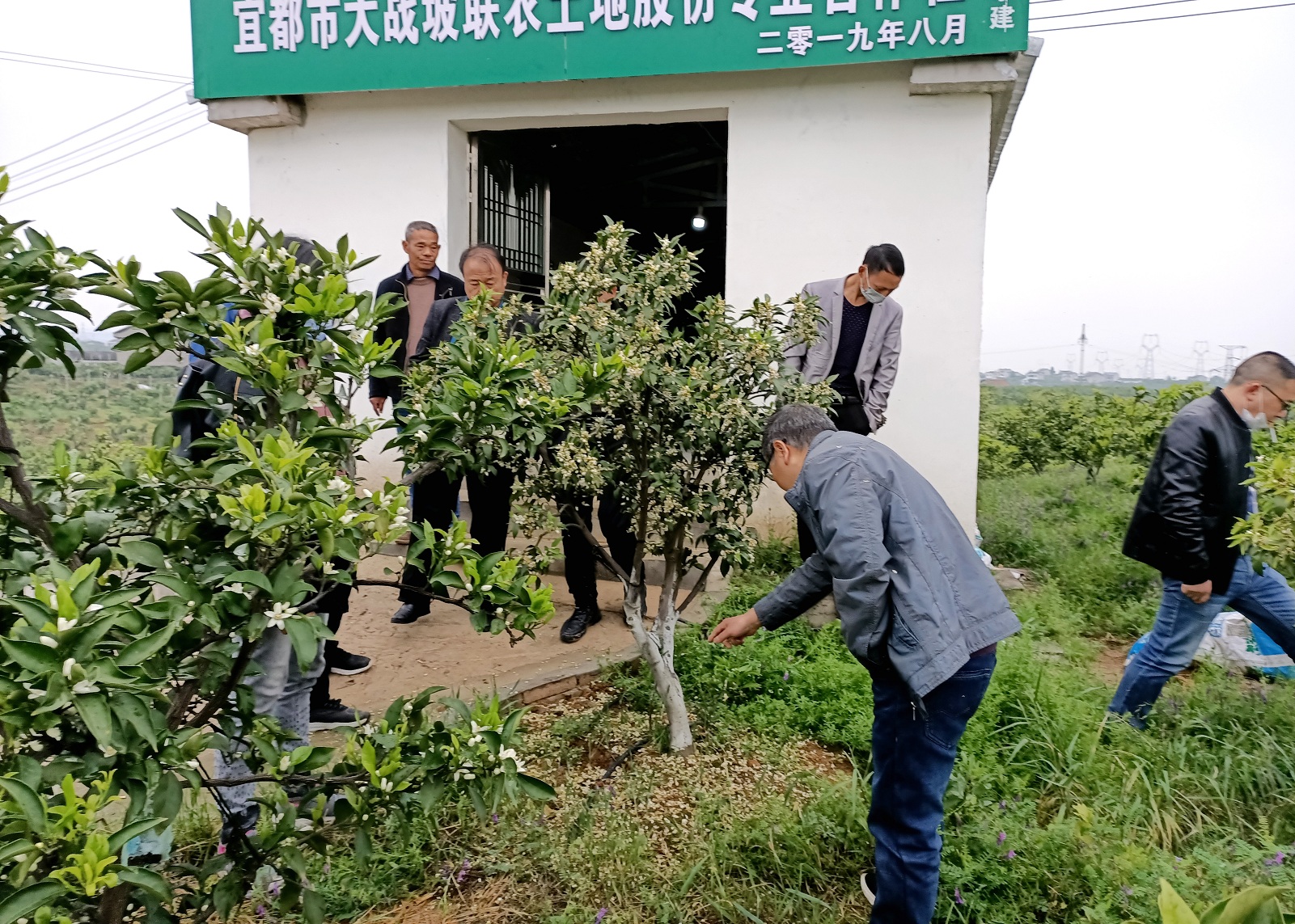 宜都市农业生态环保中心“多措并举”筑牢项目落地落实