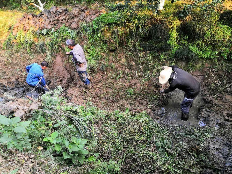 红花套镇：以沟渠塘堰整治为抓手助推农村人居环境整治