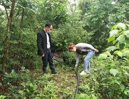 宜都：扎实抓好农村能源安全检查