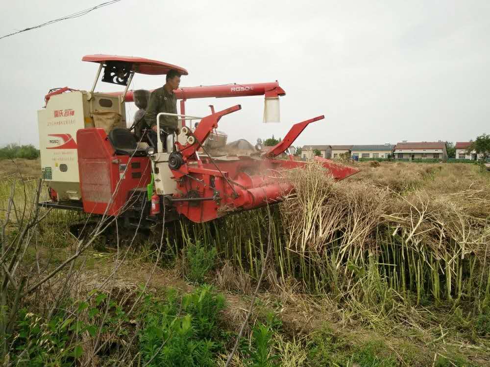 深入田间调查研究 力护产业安全发展