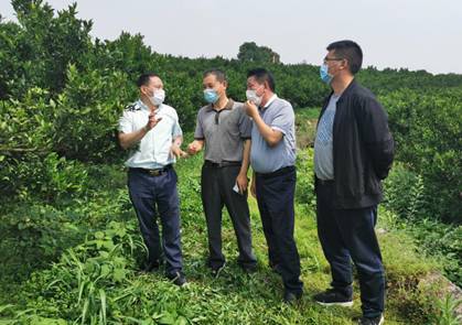 当阳：刘继红教授到当阳指导柑橘产业发展