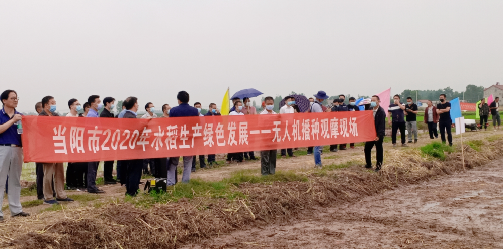 当阳：召开水稻无人机播种现场观摩会