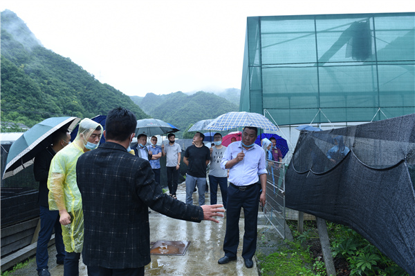 五峰：召开“两中”产业发展会议