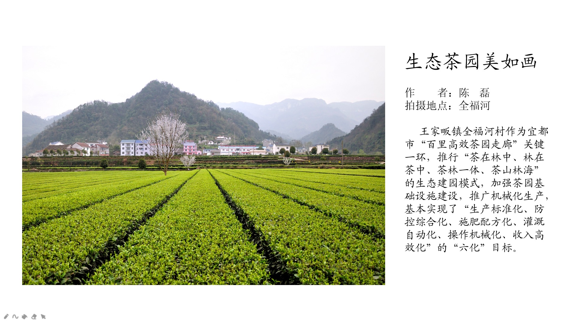 市农业农村局举办庆祝 中国共产党成立99周年大会