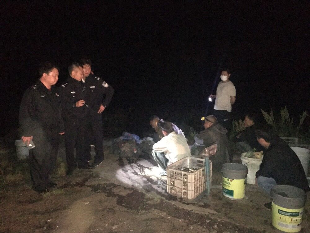 宜都市农业综合执法大队： 出实招打击非法捕捞行为