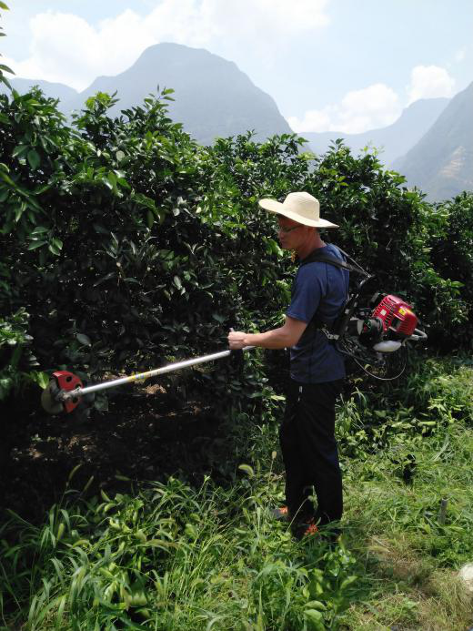 山地果园机械化修剪拉开序幕